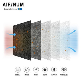 Airinum【2.0系列滤芯】AIRINUM睿铂口罩防雾霾防尘PM2.5滤芯3只装 2.0替换滤芯M