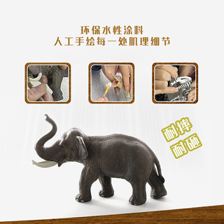 玛奇乐（MECHILE）仿真野生动物模型玩具大象长颈鹿大熊猫认知启蒙儿童 猎豹