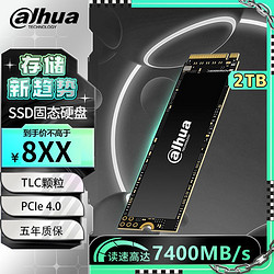 Dahua 大华 da hua 大华 C970 Plus 固态硬盘 2TB PCIe 4.0