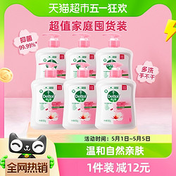 Dettol 滴露 洗手液滋润倍护500g*6瓶装补充大桶家用泡沫丰富