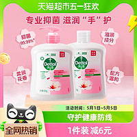 88VIP：Dettol 滴露 洗手液 滋润倍护 500g+无按压泵500g