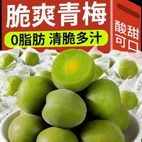 刘家小二哥 晋龙脆青口梅脆梅酸梅爽口梅清爽梅独立蜜饯果脯李梅网红零食品