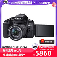 Canon 佳能 EOS 850D单反相机 连 EF-S 镜头高清照相机