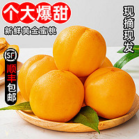 糜鸿黄金油桃 （顺丰包邮）新鲜水果应季油桃甄选黄金油桃 （净重4.5斤）大果