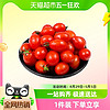 88VIP：天猫超市 圣女果小番茄5斤整箱