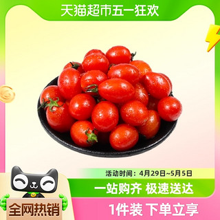 圣女果小番茄5斤整箱