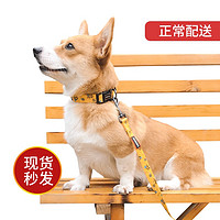 纤宠 宠物狗狗 牵引绳套装 项圈+牵引绳 S小号-小型犬（建议3-18斤)