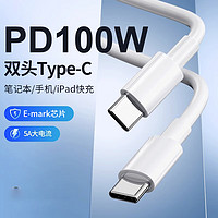 帕洛达 PD100W 双TYPE-C 数据线 1m