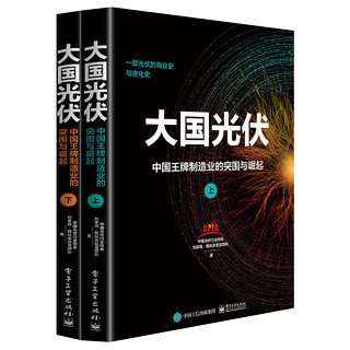 大国光伏：中国王牌产业崛起之路（套装上下册）