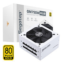 Segotep 鑫谷 GM750W 冰山版 金牌（90%） 全模组ATX标准电源 750W