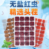 森悠(SARYOR)冰冻红虫牛心汉堡鱼食丰年虾罗汉鱼食七彩神仙鱼粮鱼六角恐龙饲料 小红虫2板+喂食器