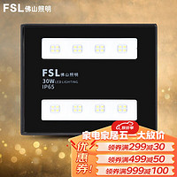 FSL 佛山照明 led投光灯30W50W100W户外室外防水投射灯广告招牌泛光灯 FZ58系列泛光灯 30W 白光