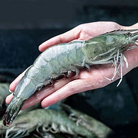 厄瓜多尔白虾盐冻 大虾4斤