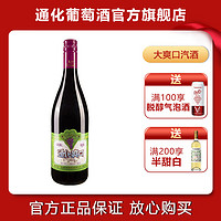 TONHWA 通化葡萄酒 爽口山葡萄加气露酒 720ml