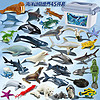 哚蕾眯 海洋动物玩具仿真模型生物世界手办儿童认知鲸鱼海豚海龟鲨鱼礼物