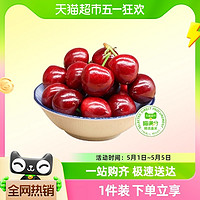 88VIP：水果之乡 樱桃大连美早新鲜樱桃新鲜水果时令应季国产车厘子顺丰空运