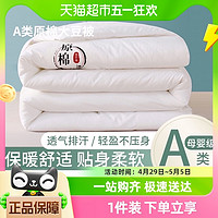 88VIP：杜威卡夫 大豆纤维被子冬被被芯床上用品居家专用加厚保暖透气舒适
