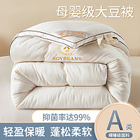 黛圣婕 大豆纤维棉被子冬被芯2024年新款冬季春秋天10斤四季通用加厚保暖