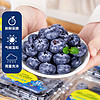 鲜程祥合 口感新鲜水果孕妇宝宝可食用蓝莓新鲜蓝莓 优选蓝莓 125g*12盒 单 果15-18MM