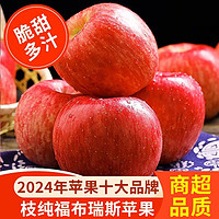 枝纯 福布瑞斯红富士苹果冰糖心当季新鲜水果脆甜正宗整箱礼盒 5 斤
