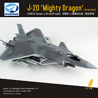 螃蟹王国 梦模型 中国歼20威龙战斗机 1/72 J20隐形拼装飞机 DM720010