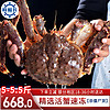 鲜船长 帝王蟹俄罗斯阿拉斯加鲜活速冻超大长脚螃蟹海鲜年货礼盒 家庭款5-5.5斤/只【高性价比】