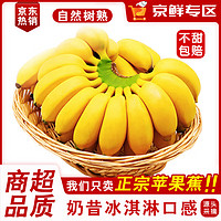 HYOJOO 广西  苹果蕉 9斤 装