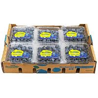 言果纪 新鲜蓝莓 125g*6盒 果径12-14mm
