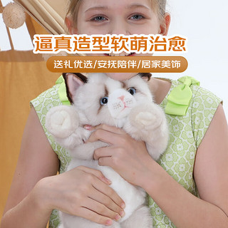 科迈特 布偶猫毛绒玩具公仔玩偶娃娃摆件抱枕女朋友闺蜜儿童玩具女孩男 趴姿布偶猫