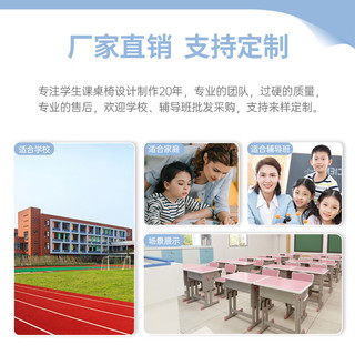 晶霄 儿童学习桌椅套装 中小书桌书架作业写字桌子可升降 【智学款】双柱课桌+椅 公主粉