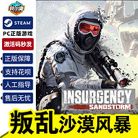 steam正版PC中文游戏 叛乱沙漠风暴 cdkey激活码 叛乱风暴Insurgency: Sandstorm 简体