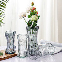 盛世泰堡 玻璃花瓶富贵竹水培容器大花瓶客厅桌面装饰摆件透明发财树26.5cm