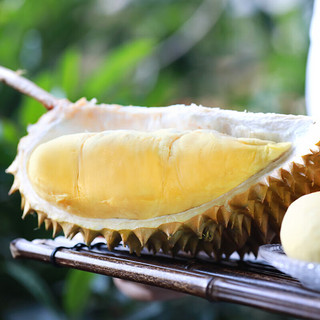 佳沃（joyvio）泰国金枕头榴莲 4kg以上 1个装 新鲜水果