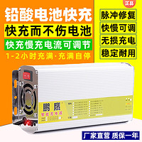 工马电动车快充充电器电动车快速冲72v60v48v铅酸蓄电池大功率自动断 60v50AH[快充慢充 自动断电]