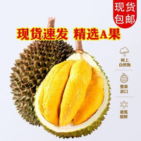 时茂新鲜泰国猫山王榴莲肉新鲜果肉榴莲有核应季水果整个 泰国 猫山王榴莲 1-2斤装/保3房（款）