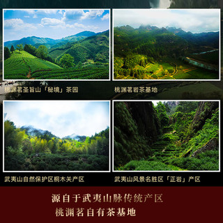 桃渊茗大红袍茶叶清香型高山乌龙茶武夷山岩茶大红袍36g罐装茶叶礼希捍 单罐 36g
