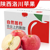 自然搭档 陕西洛川苹果红富士 5斤装（净重4.5-5斤 单果170g+）