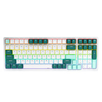 RK 98Pro 三模机械键盘 98配列 RGB茶轴