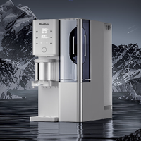 Rediffusion 瑞迪生 白武士R3 RDF2112-RO 台式净饮机