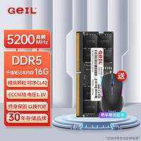 20点开始：GeIL 金邦 16G DDR5-5200 笔记本内存条 千禧系列