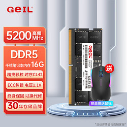 GeIL 金邦 16G DDR5-5200 筆記本內存條 千禧系列