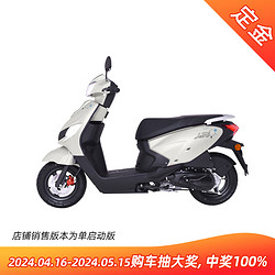 SUZUKI 铃木 QS110T-5 小海豚 升级版  定金门店提车 雪莲白 整车价7880