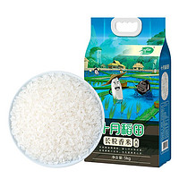 十月稻田 东北长粒香大米5kg黑龙江大米粳米10斤装