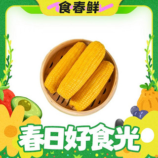 东北玉米黄糯鲜食玉米 220g*8