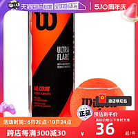 Wilson 威尔胜 新年款专业训练网球3只组合罐装正品网球拍