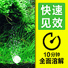 森森（SUNSUN）二氧化碳片爆藻鱼缸水草co2发生器水族用品 二氧化碳释放片一瓶装（60片）