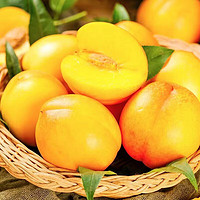 元族 【顺丰】时令山东蒙阴黄油桃礼盒装新鲜水果 净重4.5斤 大果