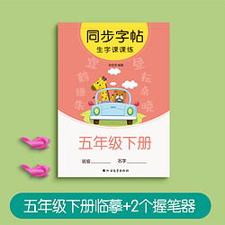 金枝葉 語文同步練字帖 寫字課課練 五年級下冊 46頁