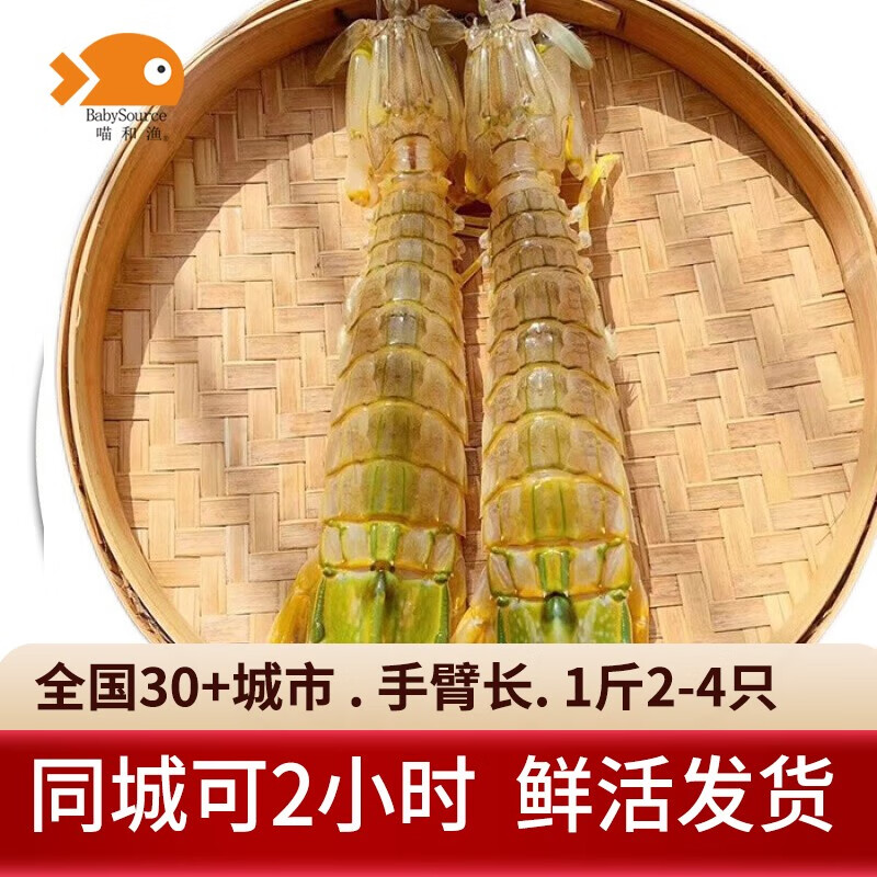 喵和渔【活鲜】鲜活泰国富贵虾 巨型大皮皮虾公虾大虾活虾海鲜虾类 （4-5两/一只）公虾 鲜活