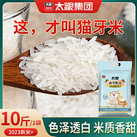 百亿补贴：太粮 猫牙米5kg象牙香米长粒香软新米10斤大米晚稻煲仔饭米正品